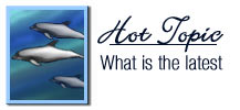 Hot Topics